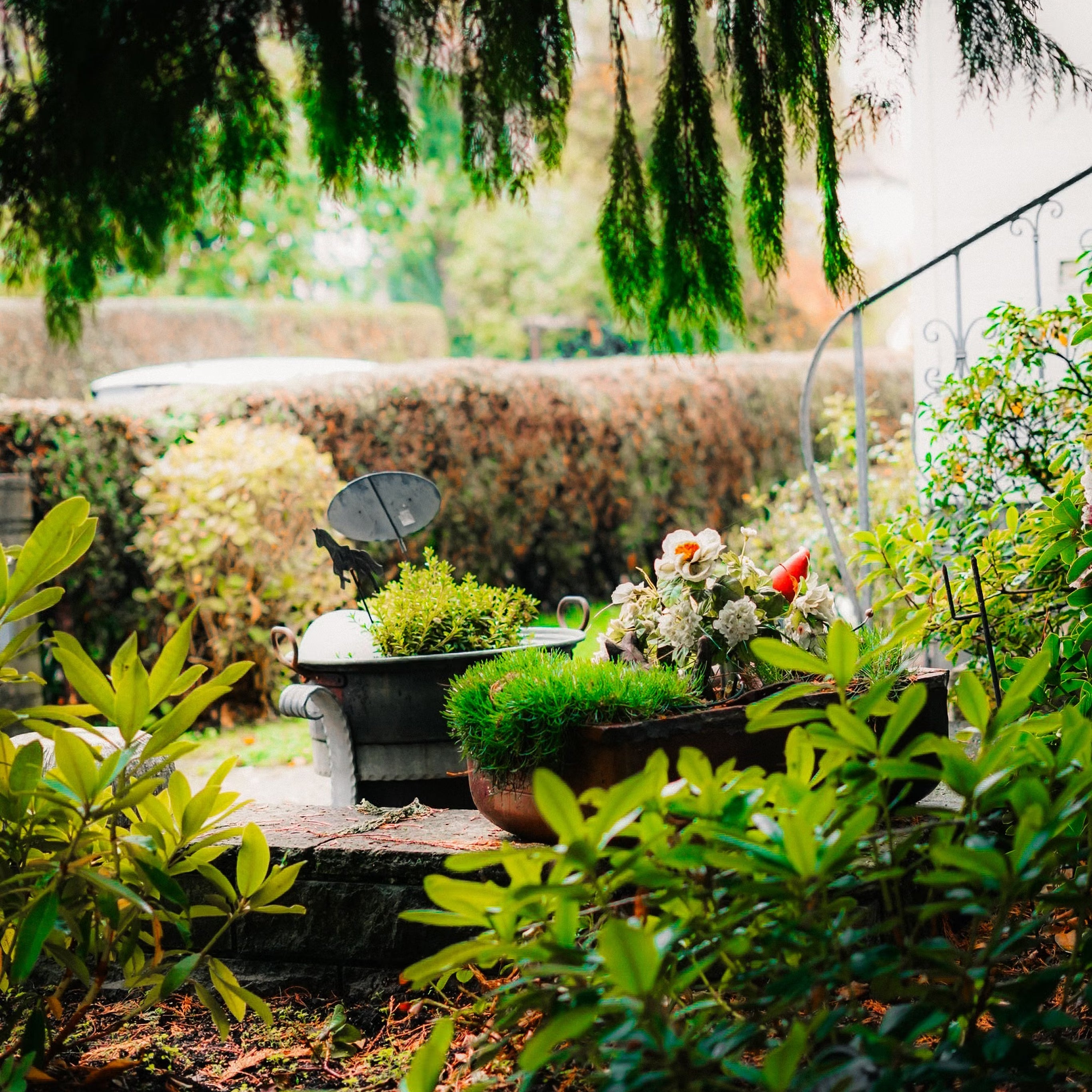 Giardino E Giardinaggio