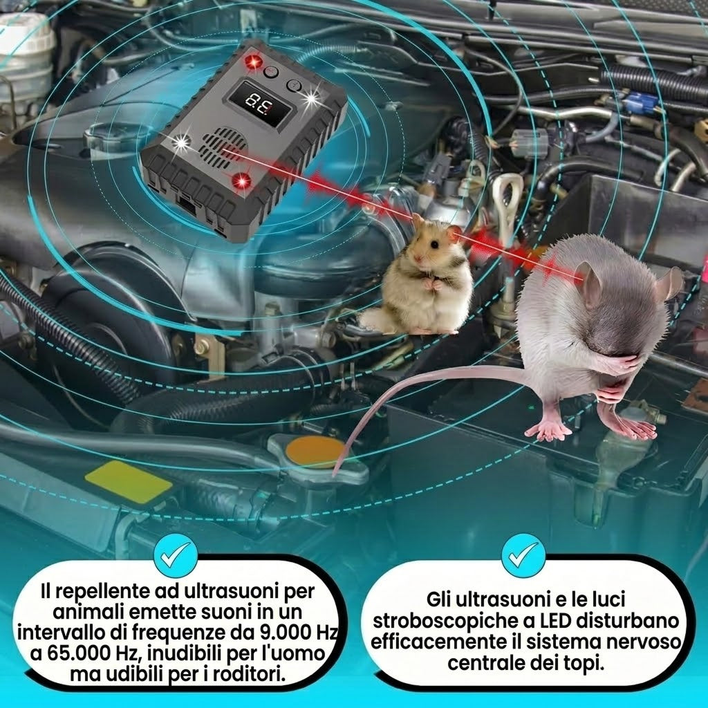 AutexRat