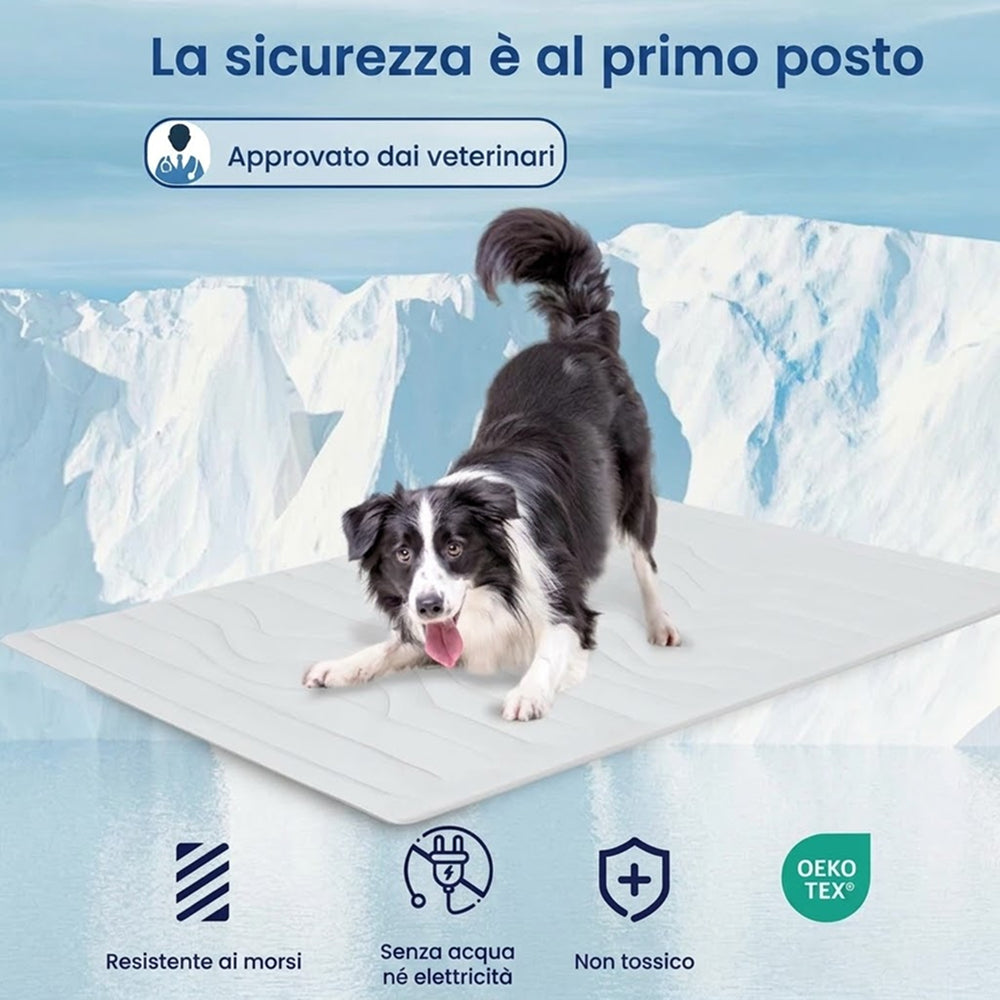 PawFroste